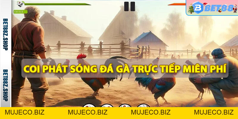Đá Gà Bet88 - Trang Cá Độ Đá Gà Thomo Campuchia - MUJECO.BIZ